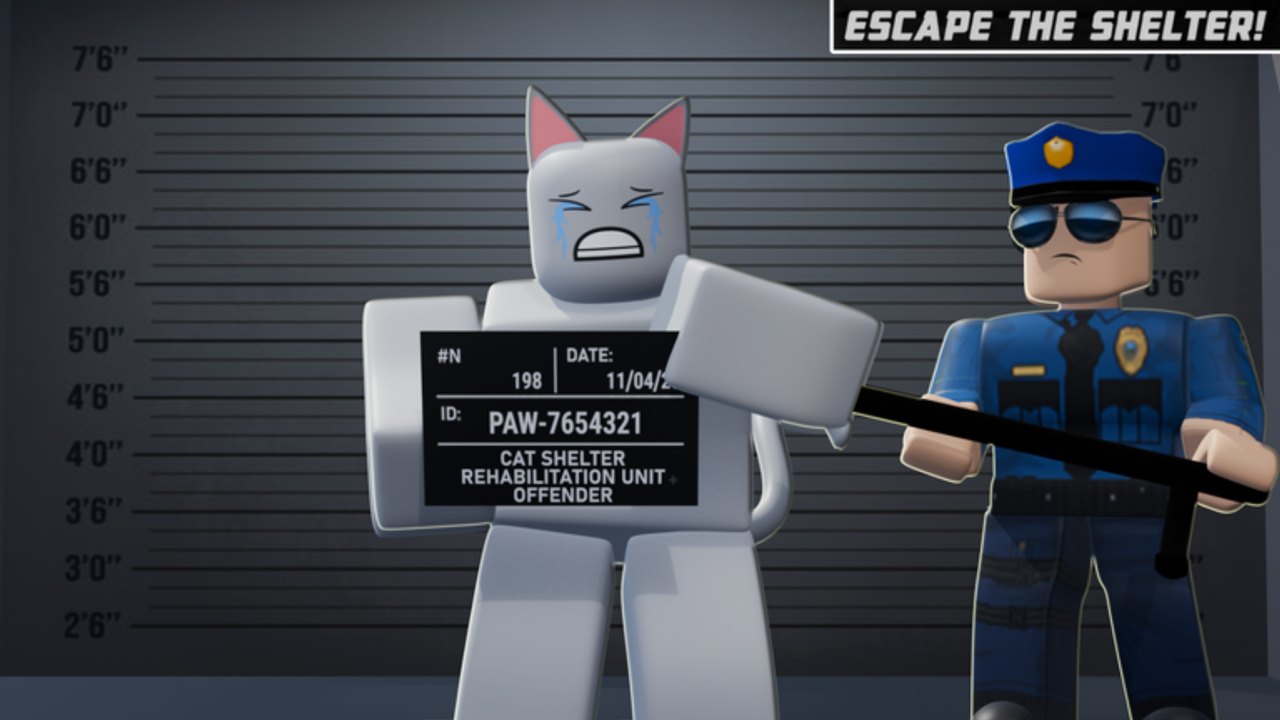 The CAT Live Promo Codes Hub